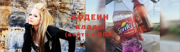 дживик Няндома