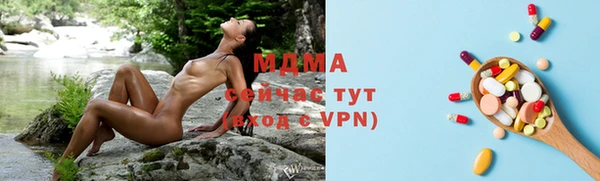 дживик Няндома