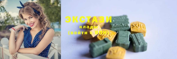 дживик Няндома