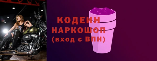 дживик Няндома