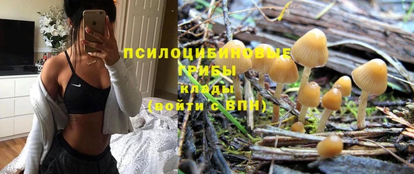 скорость Нязепетровск