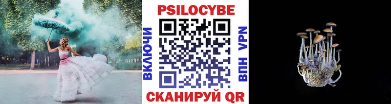 купить наркотики сайты  Пучеж  Галлюциногенные грибы GOLDEN TEACHER 